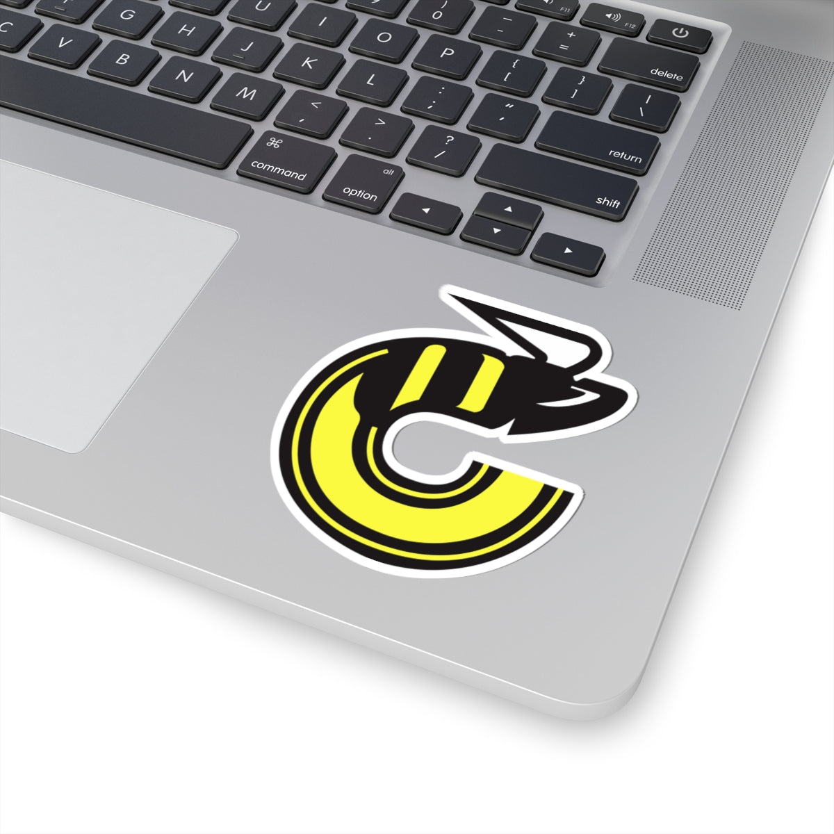 Cincinnati Stingers sticker