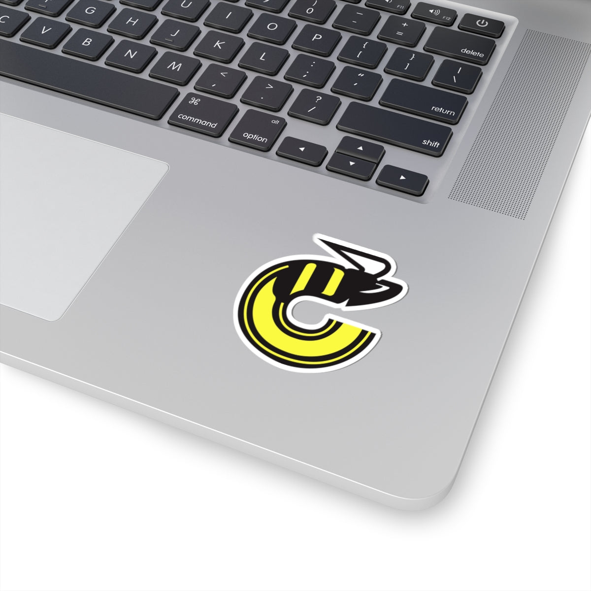 Cincinnati Stingers sticker